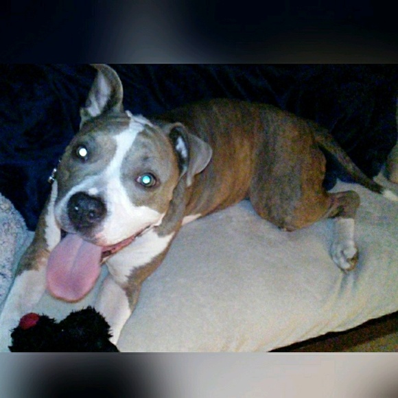 julie_bolton01